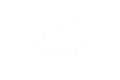 Continuous Optimization